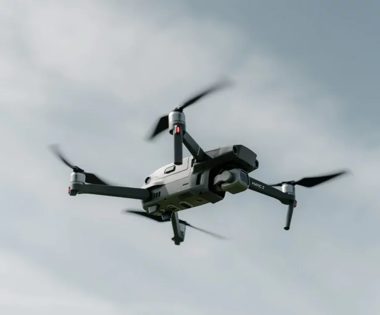 Massa Ultricies Hendrerit Dolor Magna article image 3